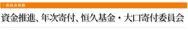 資金推進、年次寄付、恒久基金・大口寄付委員会