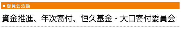 資金推進、年次寄付、恒久基金・大口寄付委員会